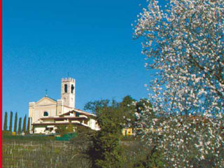 Primavera a Bornato